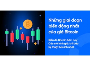 Tiền Điện Tử & Bitcoin Tiếp Tục “Nóng” Trở Lại – Ví Bitcoin Và DeFi Dẫn Đầu Xu Hướng Tìm Kiếm